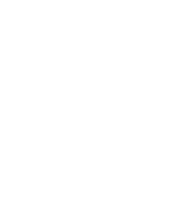the Charioteer