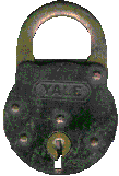 animated
image