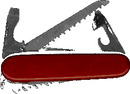 animated
image